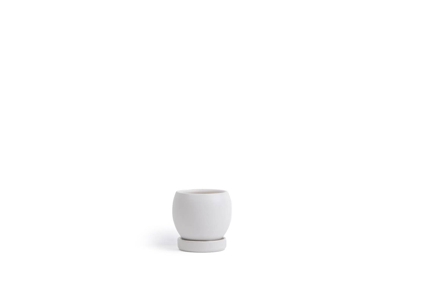 4.25" Bollé Pots w/Water Saucers - 8pc/cspk
