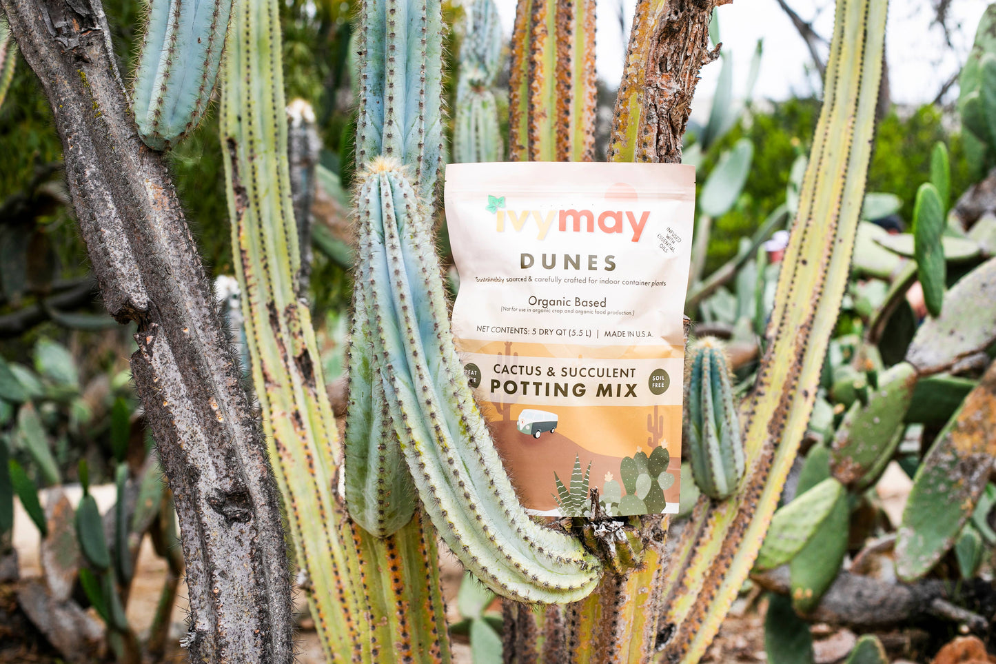 Cactus & Succulent Potting Mix - 1/2 Order