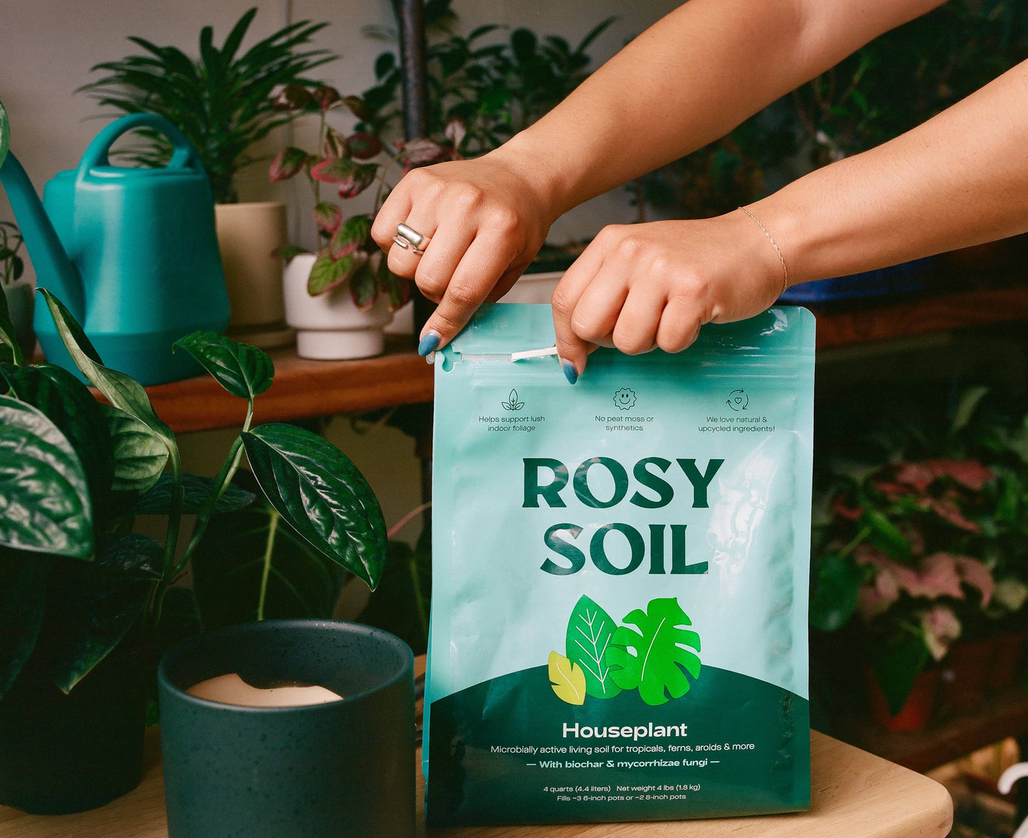 4qt Organic houseplant soil
