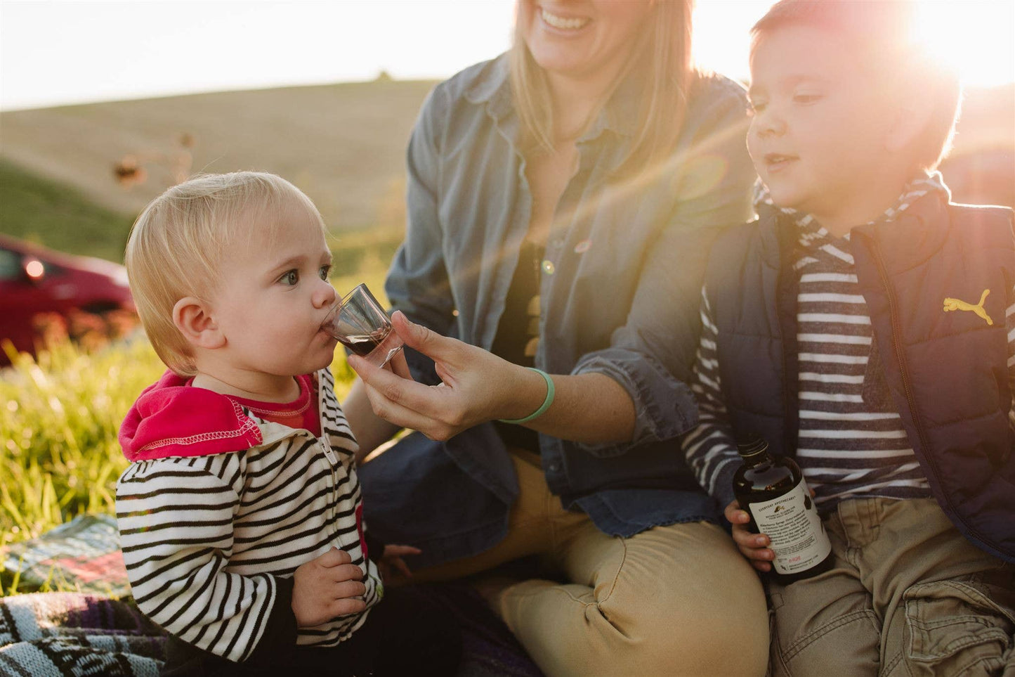Immune Boosting Elderberry Syrup