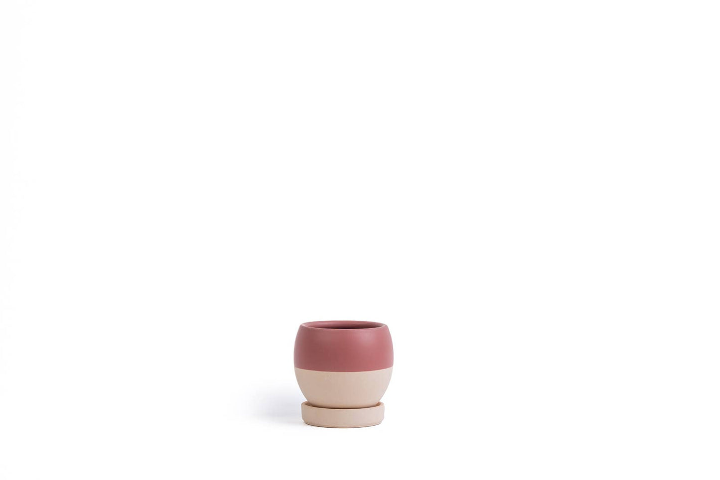 4.25" Bollé Pots w/Water Saucers - 8pc/cspk