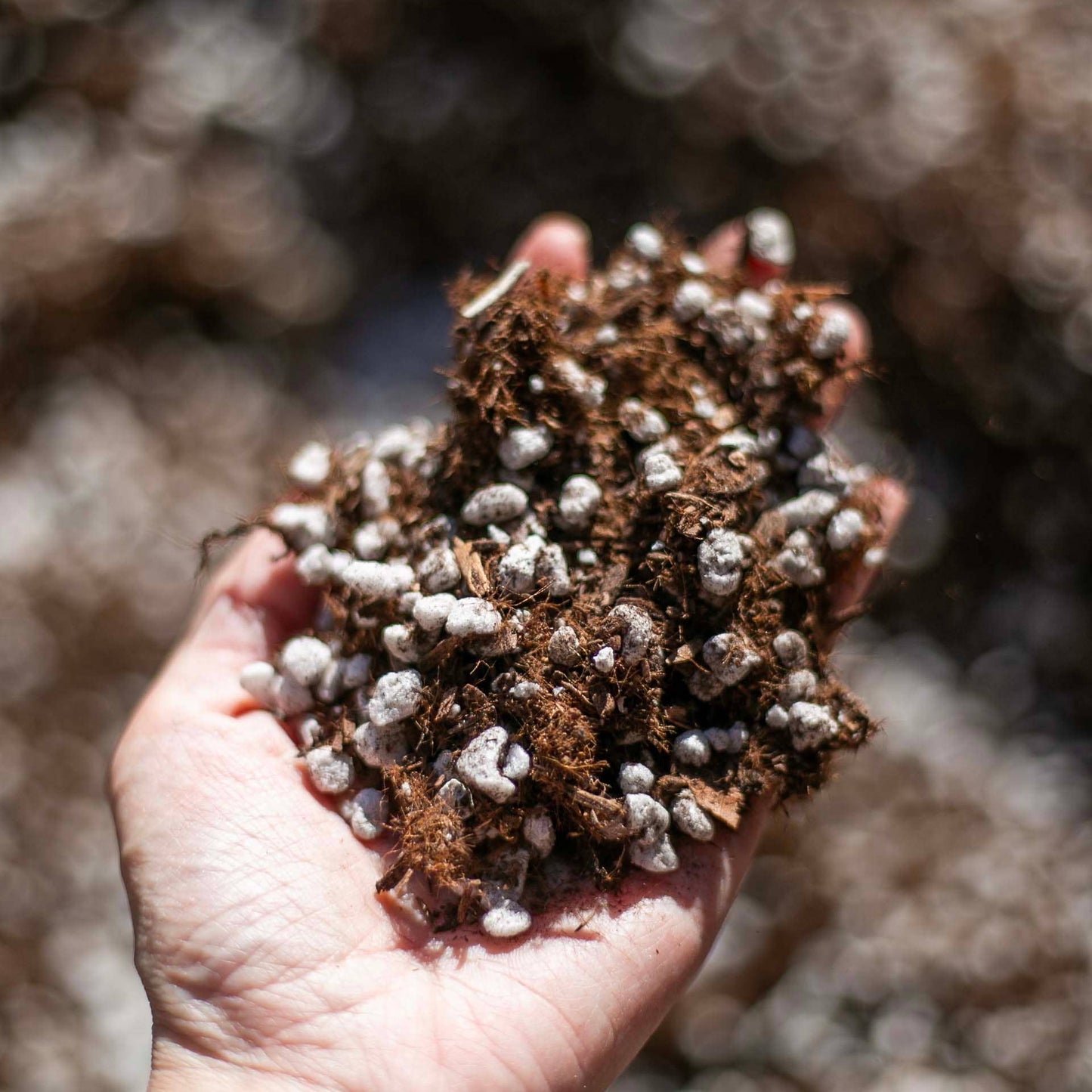 Cactus & Succulent Potting Mix - 1/2 Order