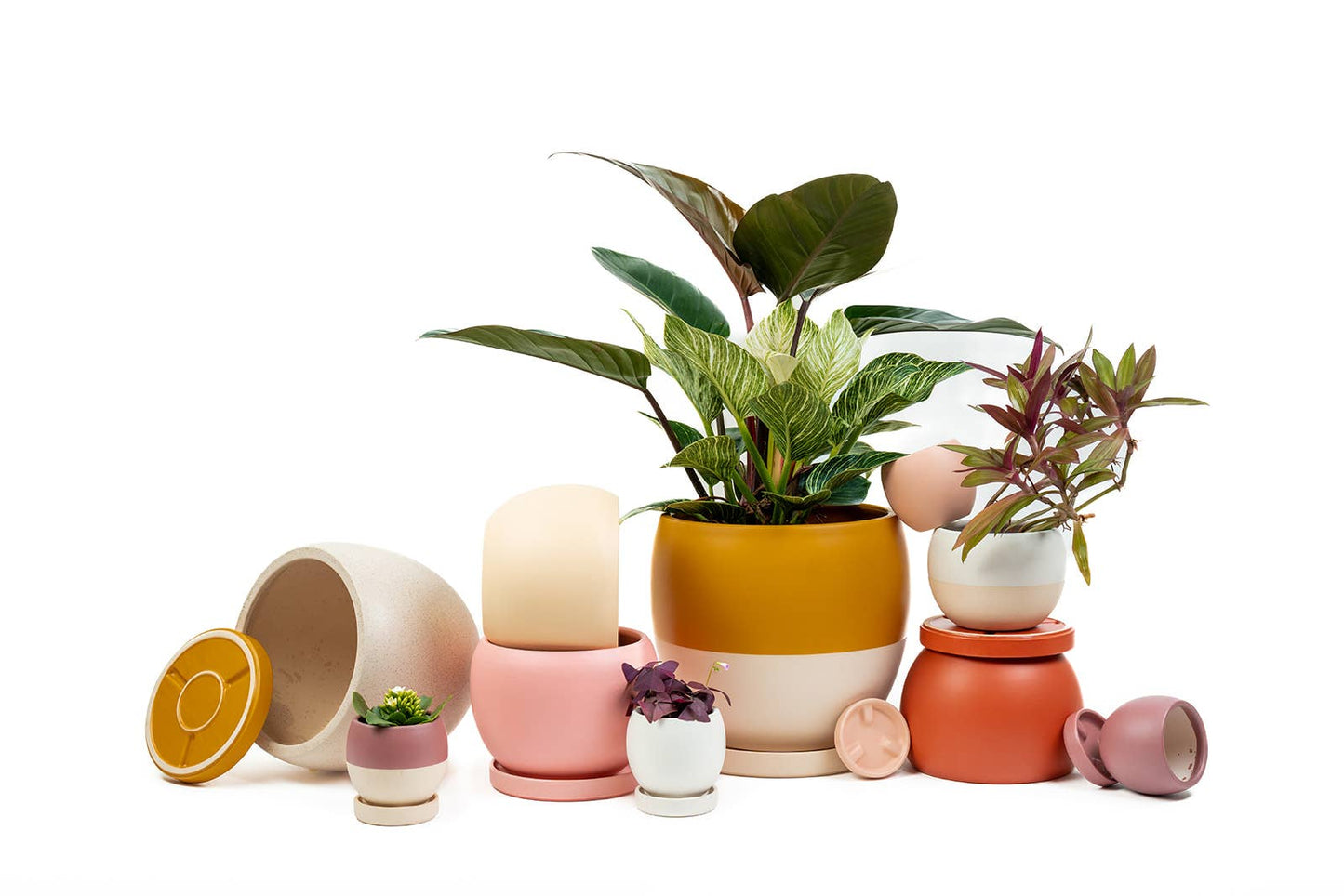 4.25" Bollé Pots w/Water Saucers - 8pc/cspk