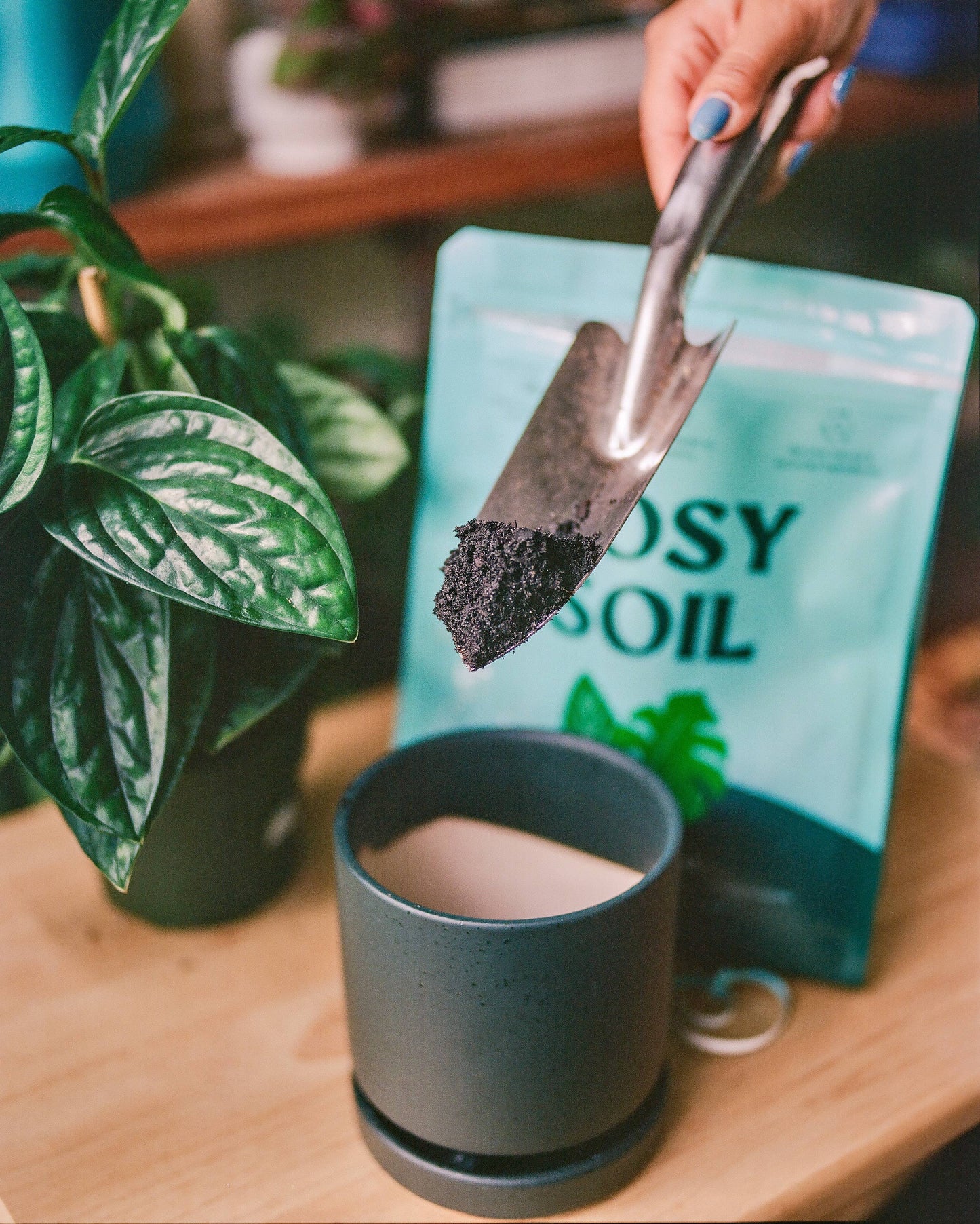 4qt Organic houseplant soil