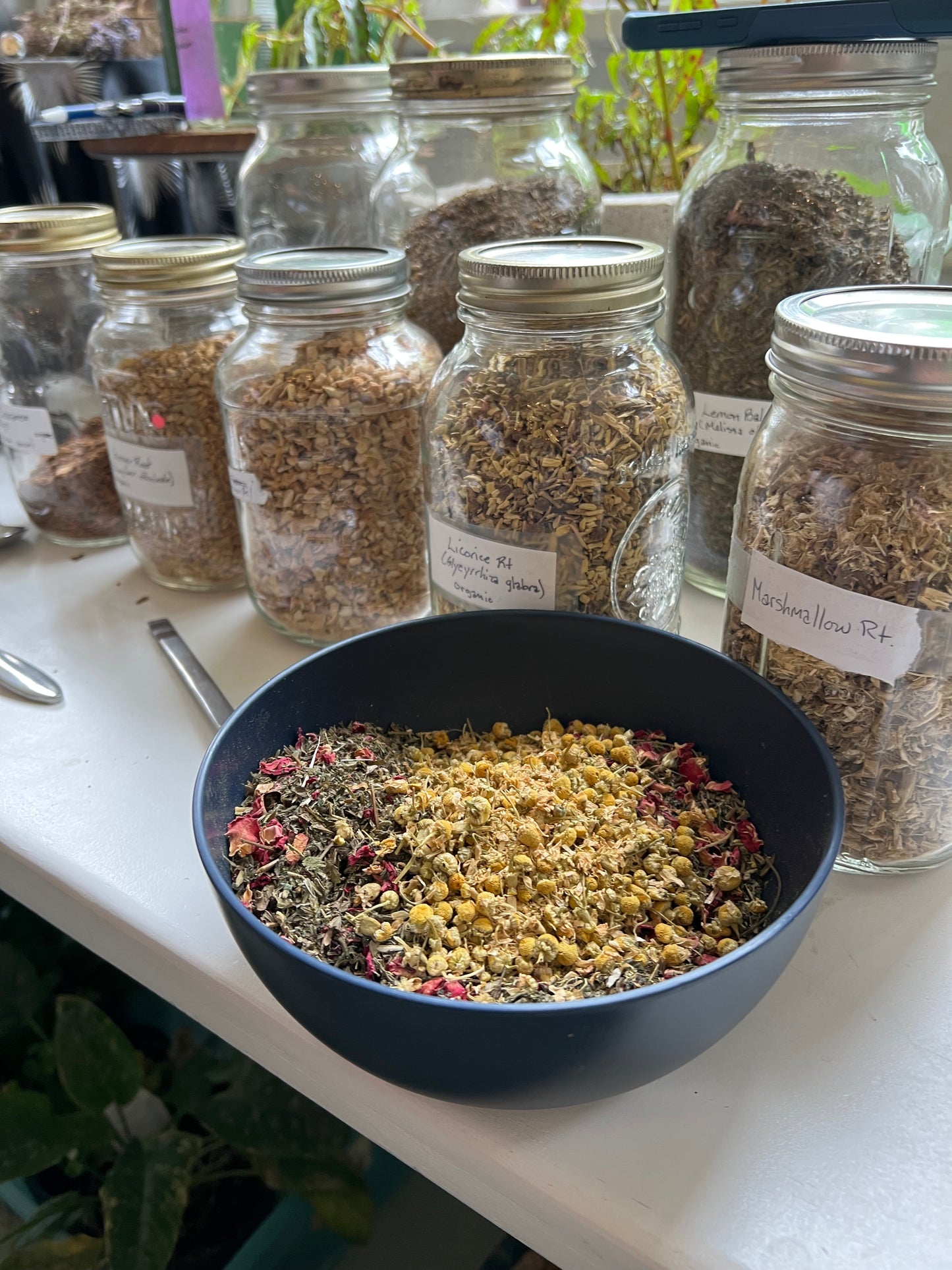 10/18 Herbs for the adrenal system