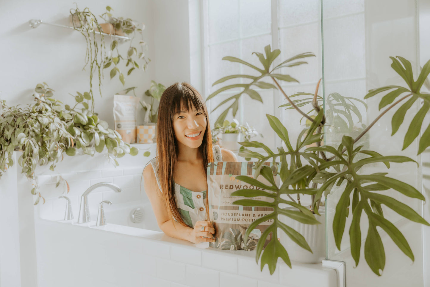 Houseplant & Aroid Mix 4 Qt