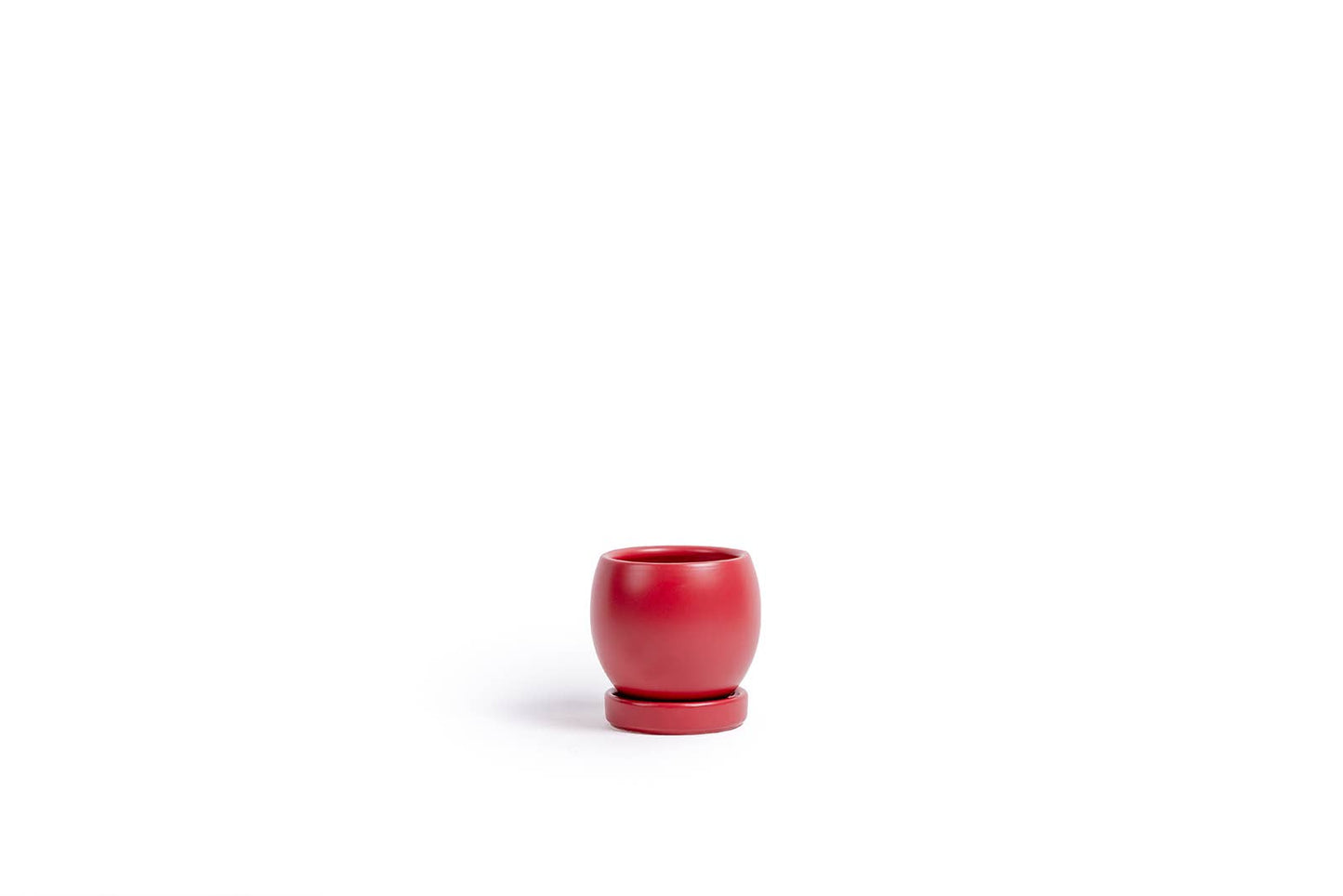 4.25" Bollé Pots w/Water Saucers - 8pc/cspk