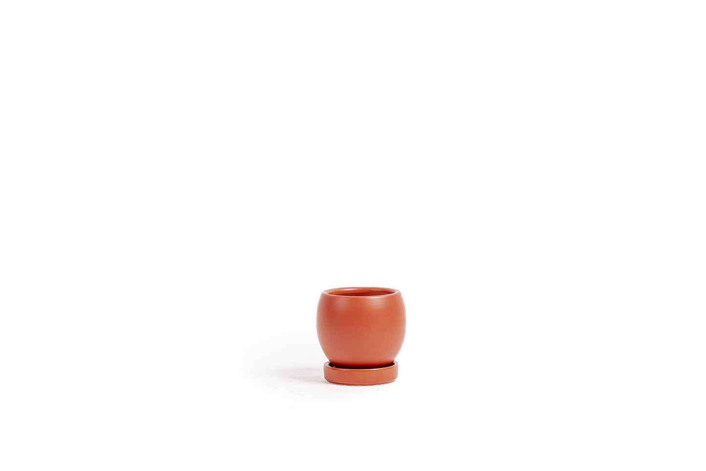 4.25" Bollé Pots w/Water Saucers - 8pc/cspk