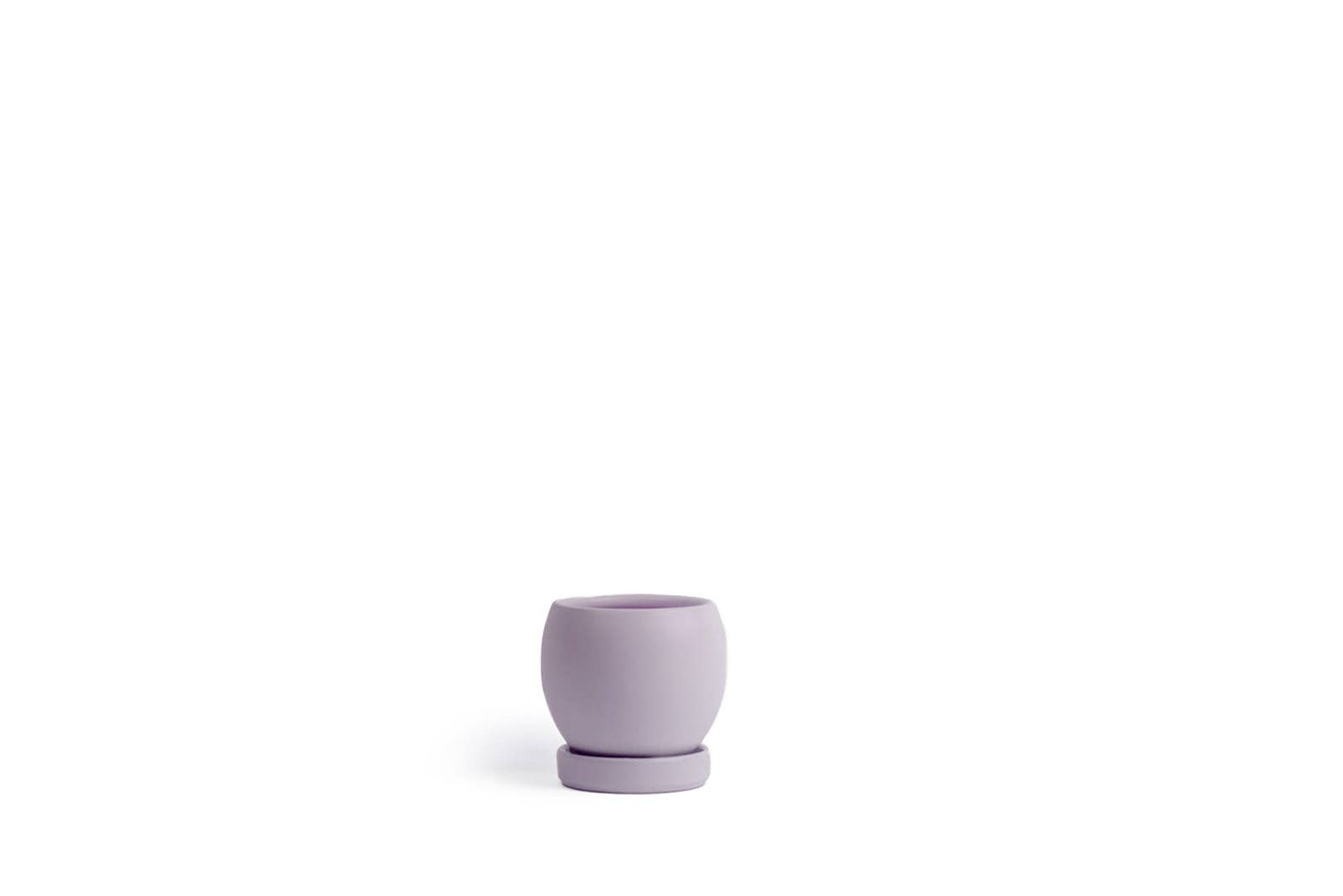 4.25" Bollé Pots w/Water Saucers - 8pc/cspk