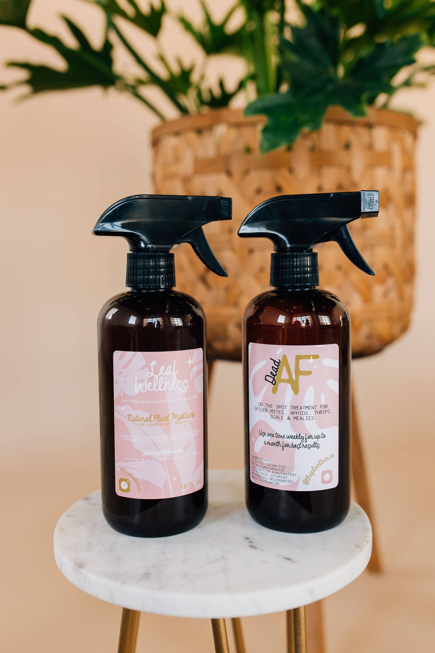 Leaf Wellness & Dead AF Bundle - 160z