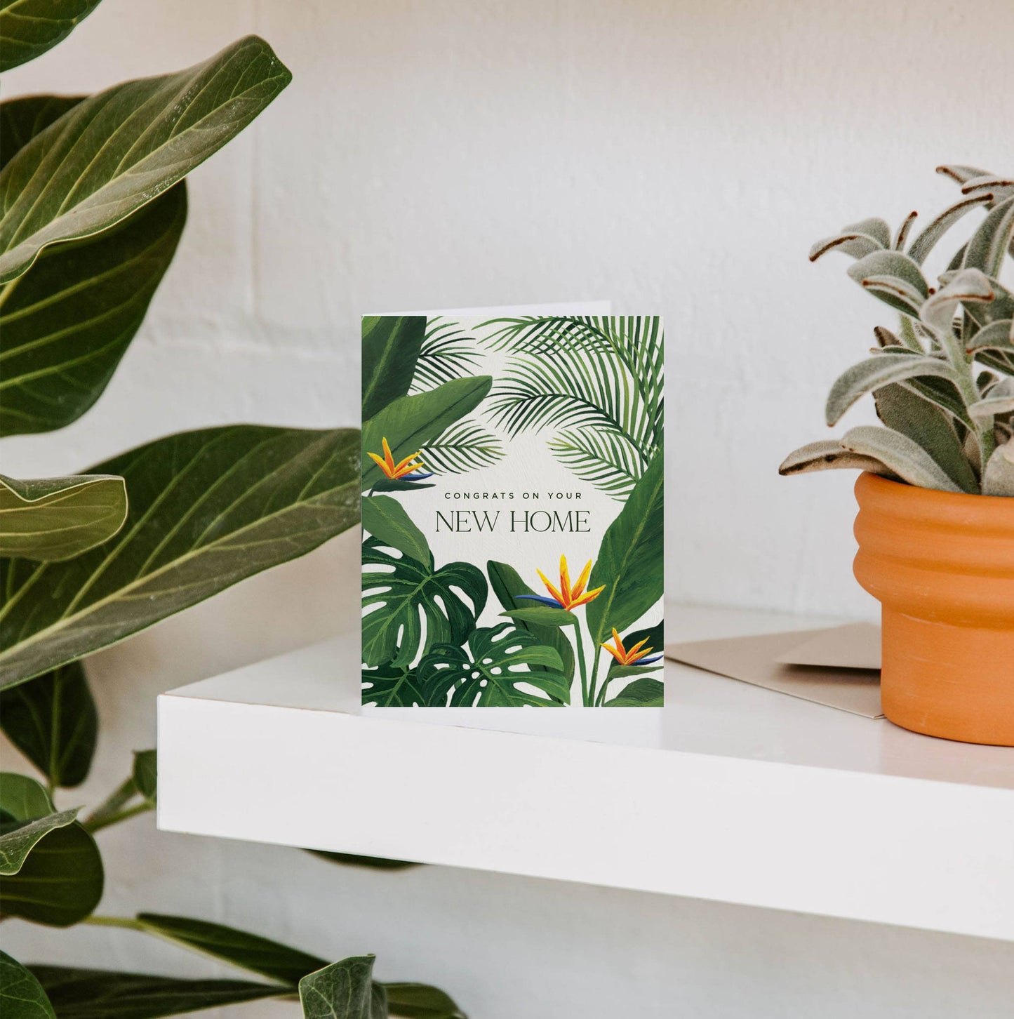 New Home Tropical Greeting Card | Housewarming Congrats