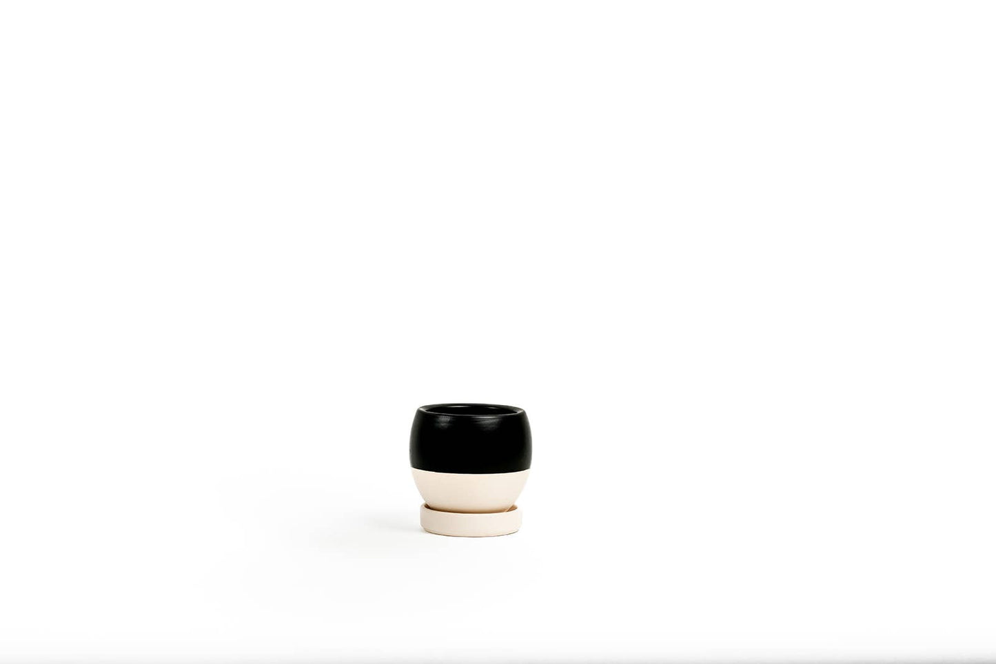 4.25" Bollé Pots w/Water Saucers - 8pc/cspk
