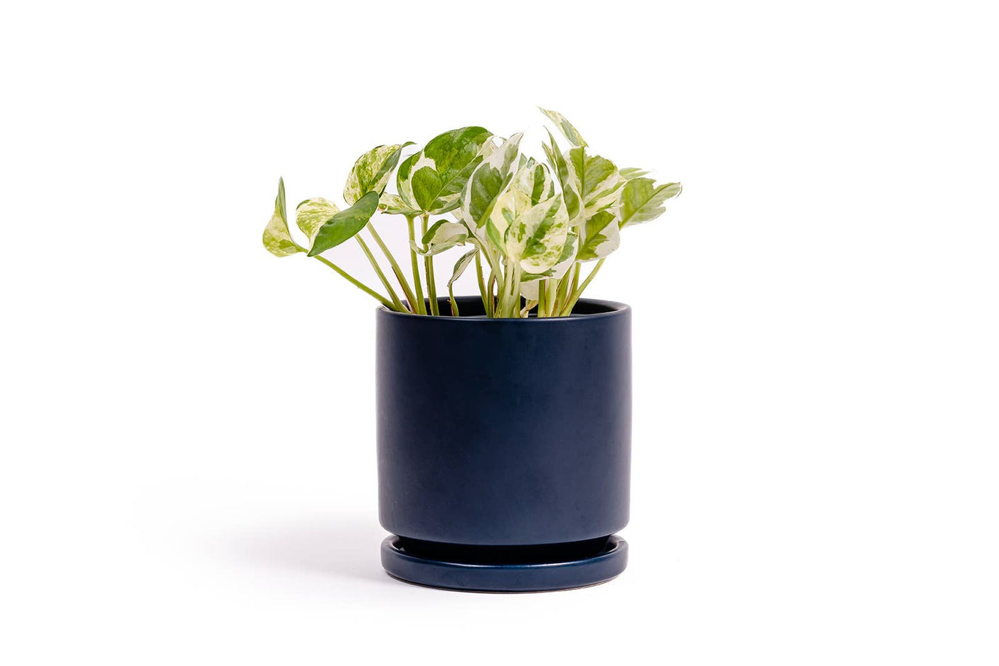 8.25" Red pots saucer