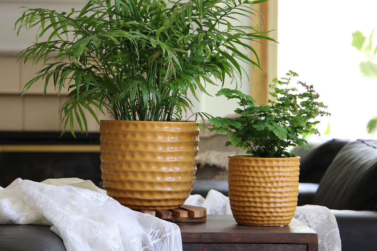 Honeycomb planter, mustard, 5.5"X5"