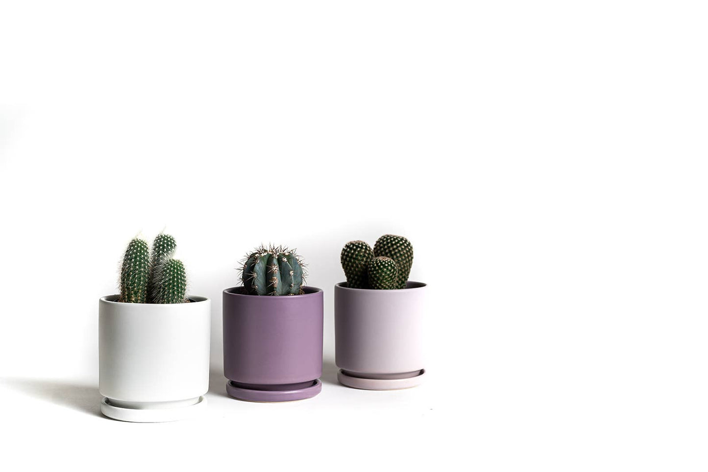 4.5" Gemstone Cylinder Pots with Water Saucers: Top Half Black