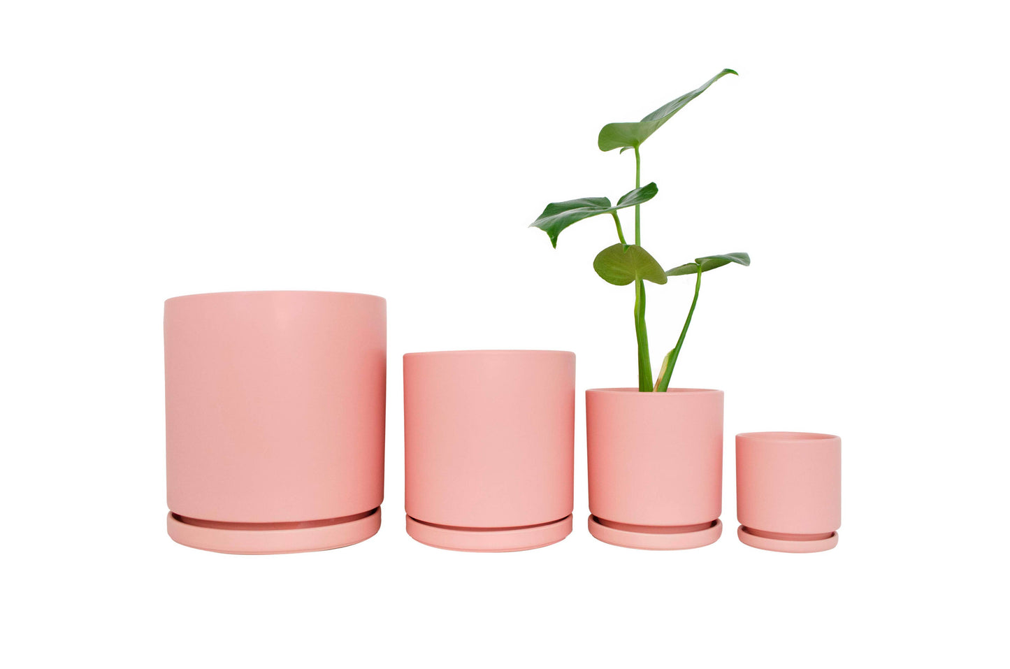 4.5" Gemstone Cylinder Pots with Water Saucers