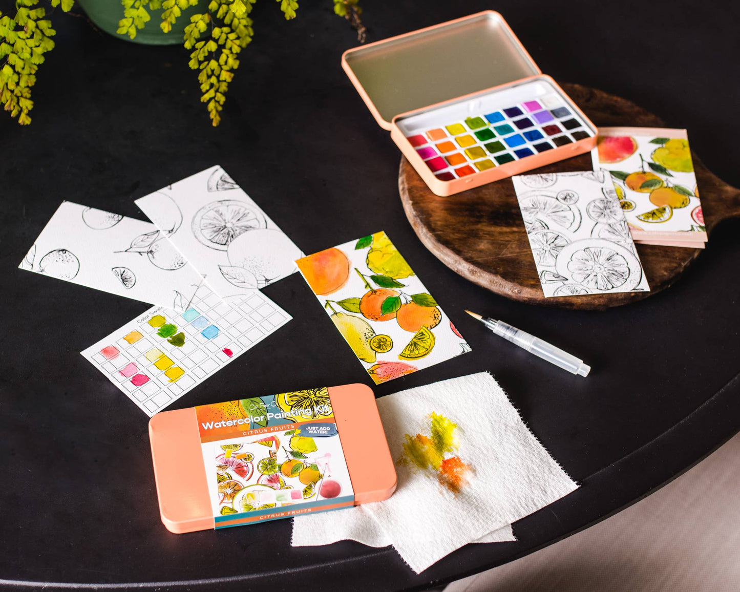 Citrus Fruits watercolor painting kit