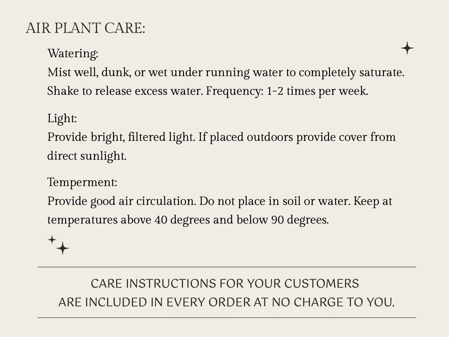 The Essentials - Air Plant Bundle (36 Plants)