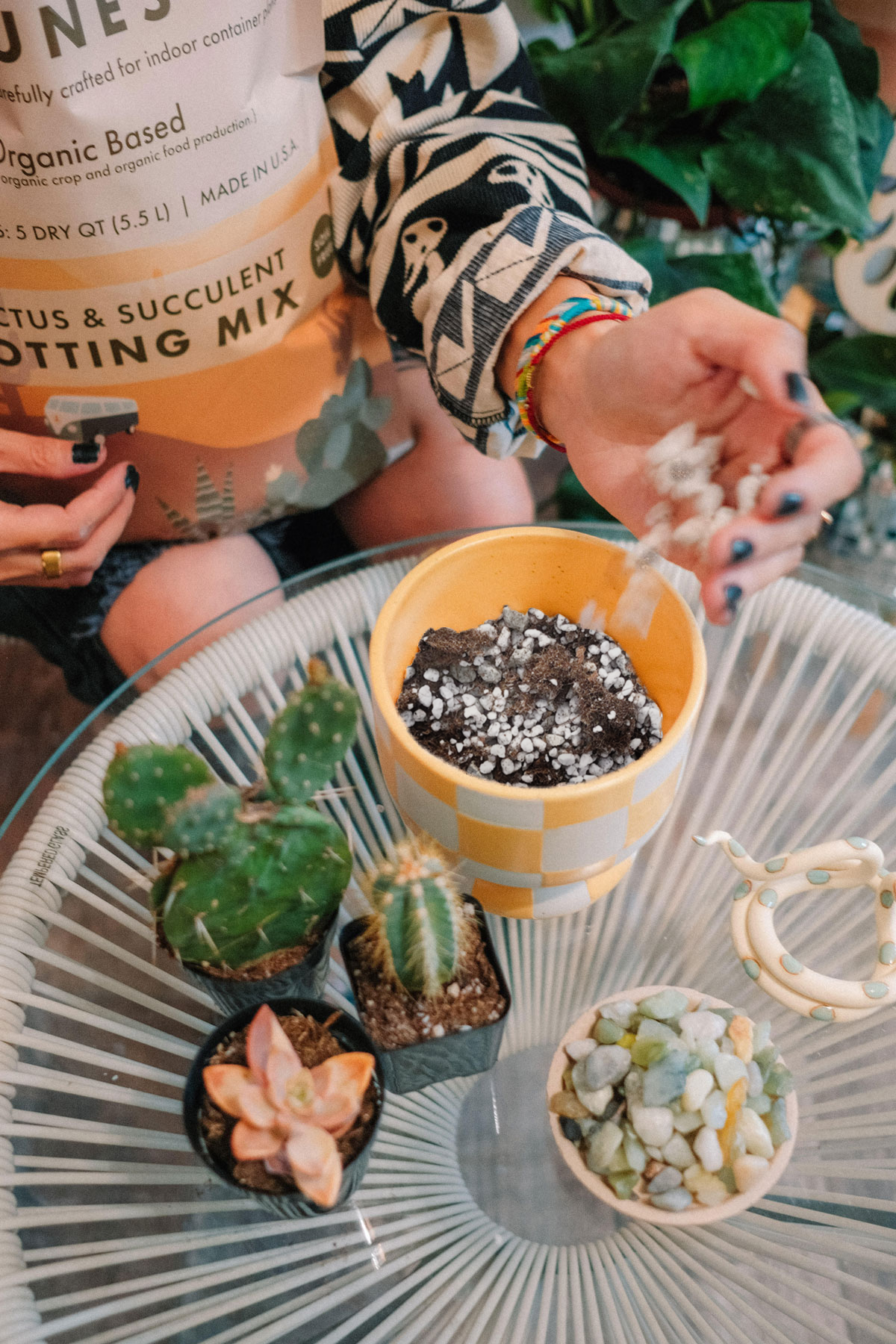 Cactus & Succulent Potting Mix - 1/2 Order