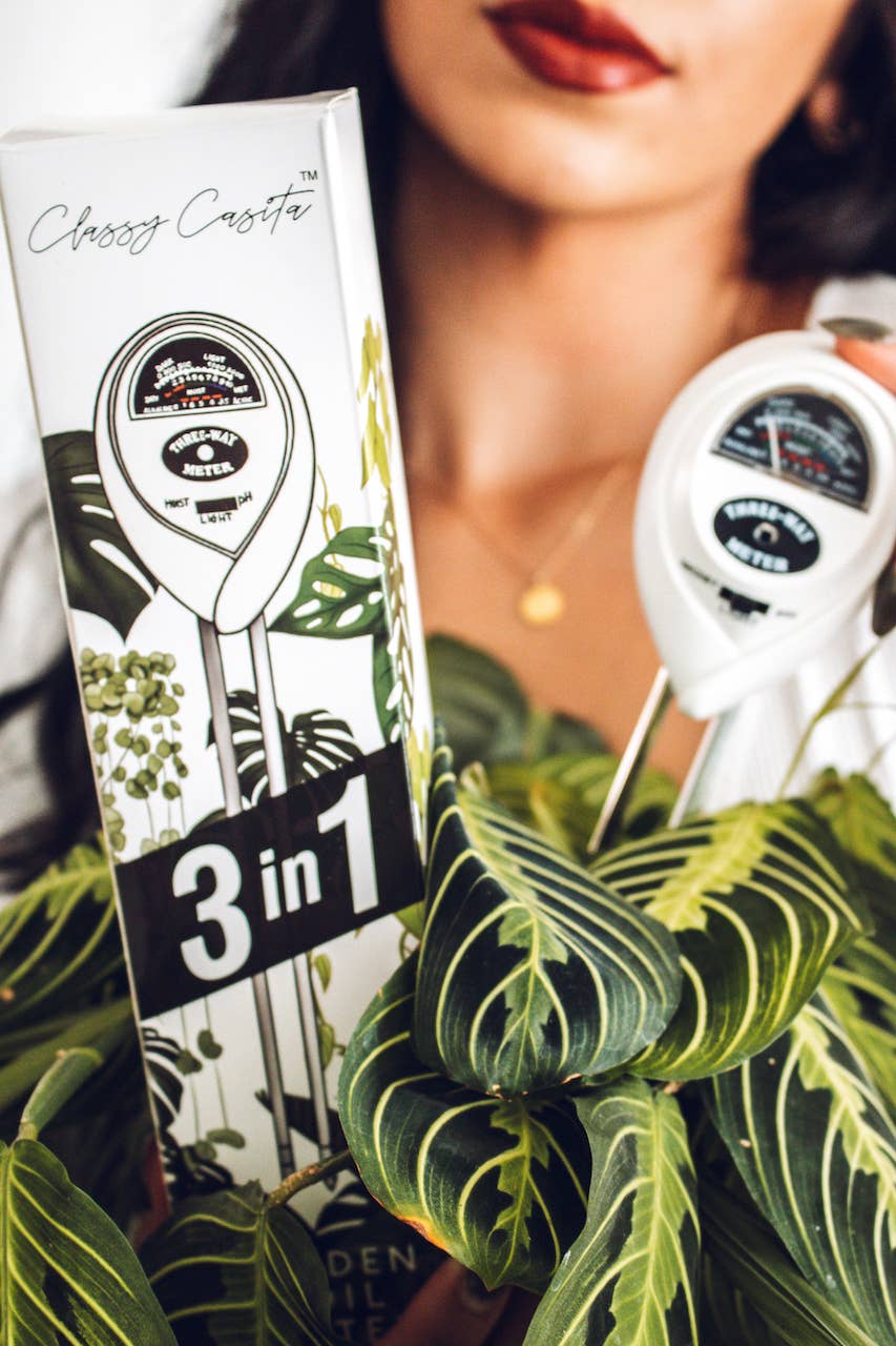 3-in-1 Moisture Meter