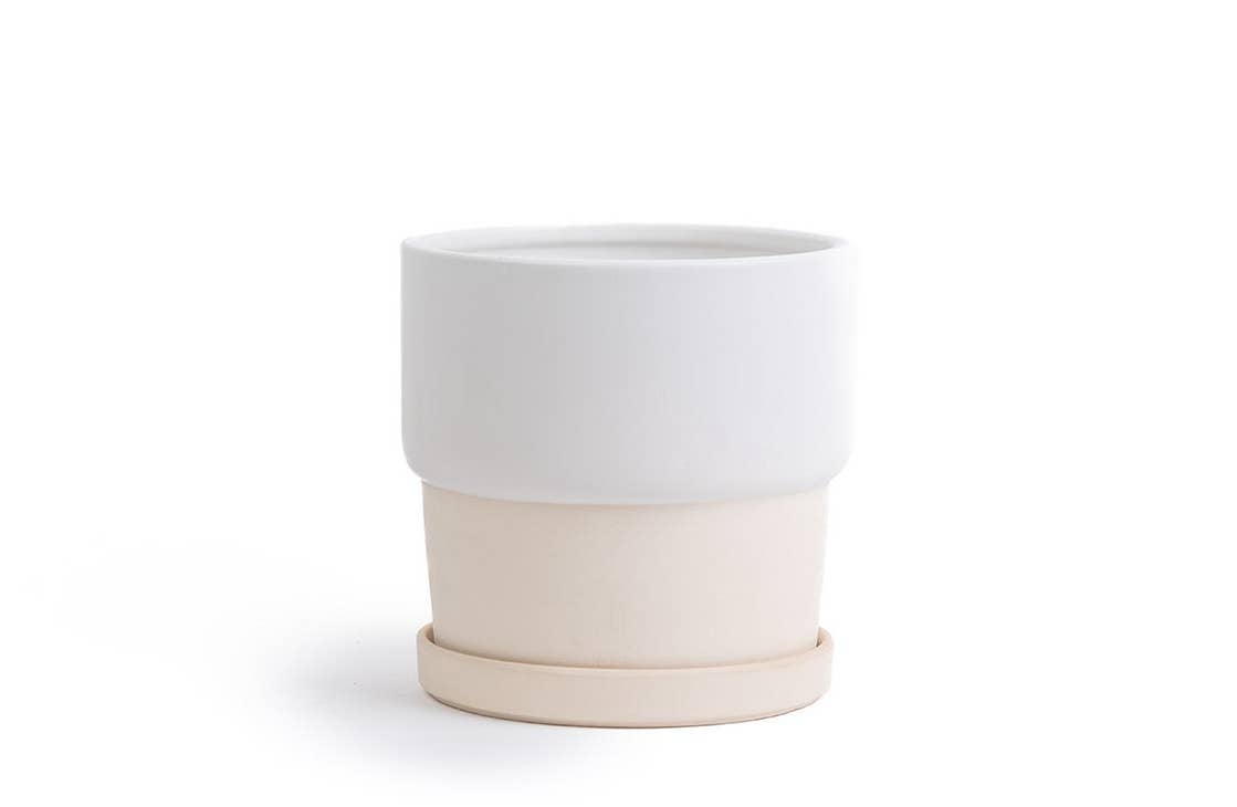 4.5" Calyx Pots w/Saucers White Sesame