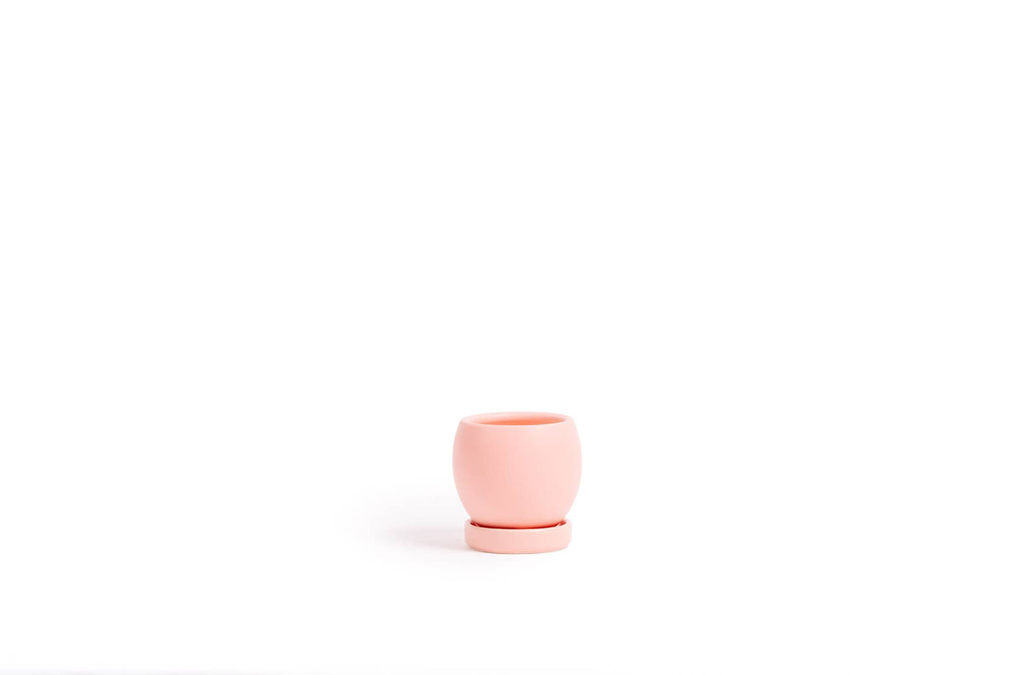 4.25" Bollé Pots w/Water Saucers - 8pc/cspk