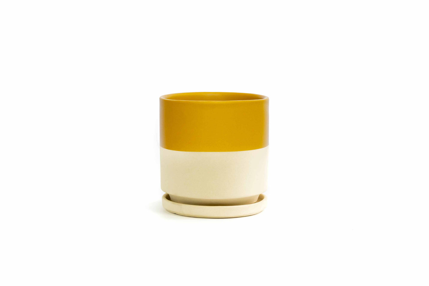 4.5" Gemstone Cylinder Pots with Water Saucers