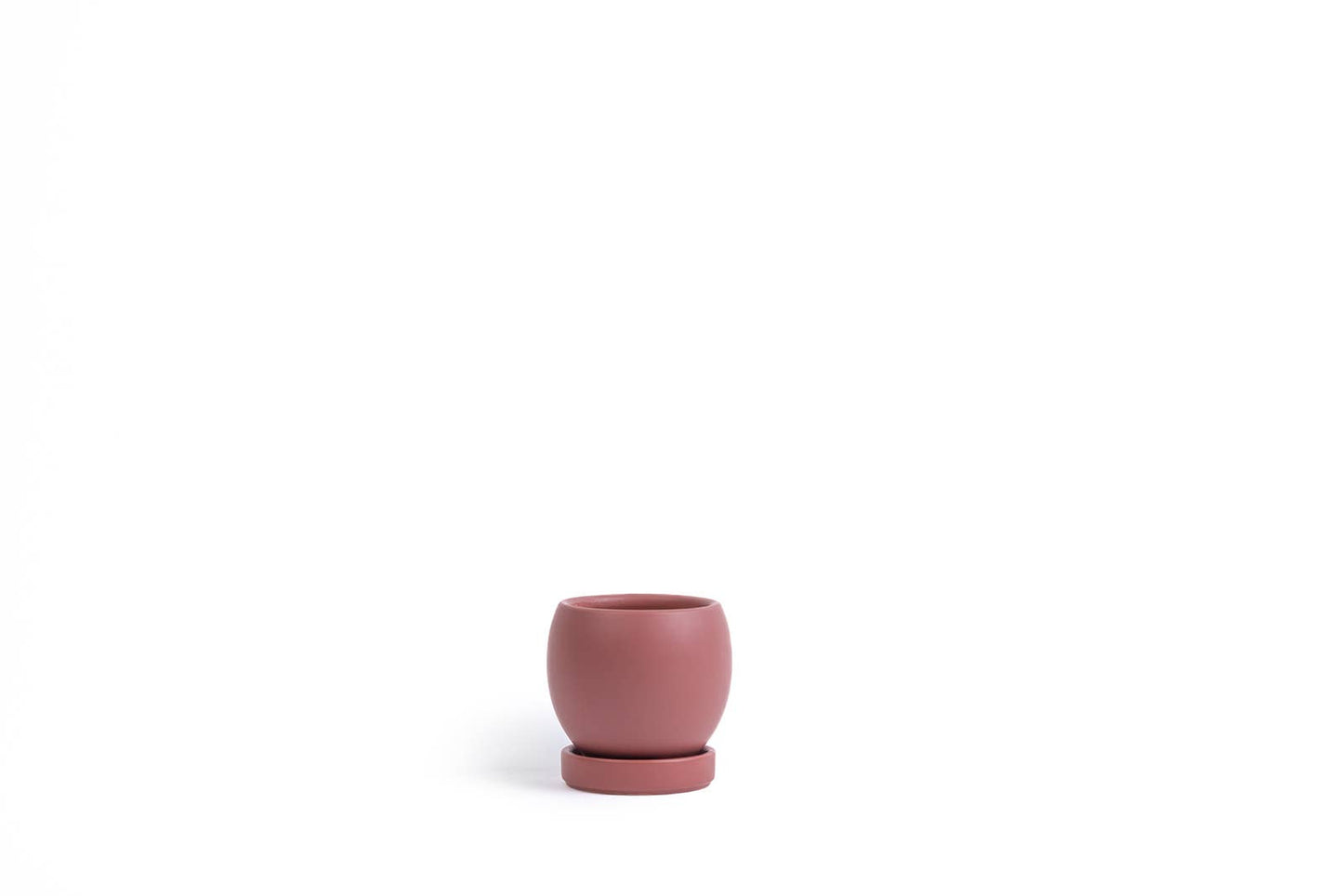 4.25" Bollé Pots w/Water Saucers - 8pc/cspk