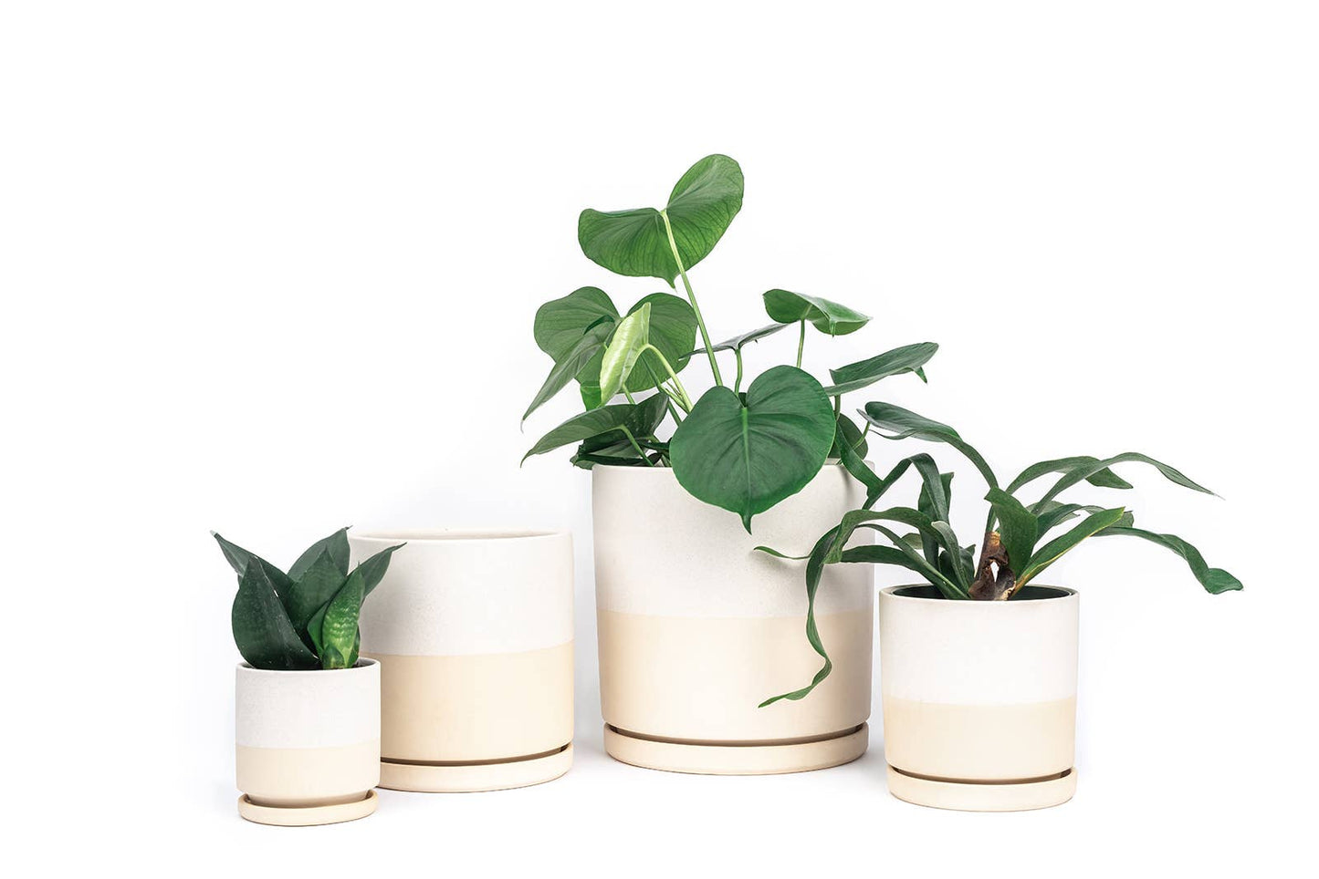 4.5" Gemstone Cylinder Pots with Water Saucers