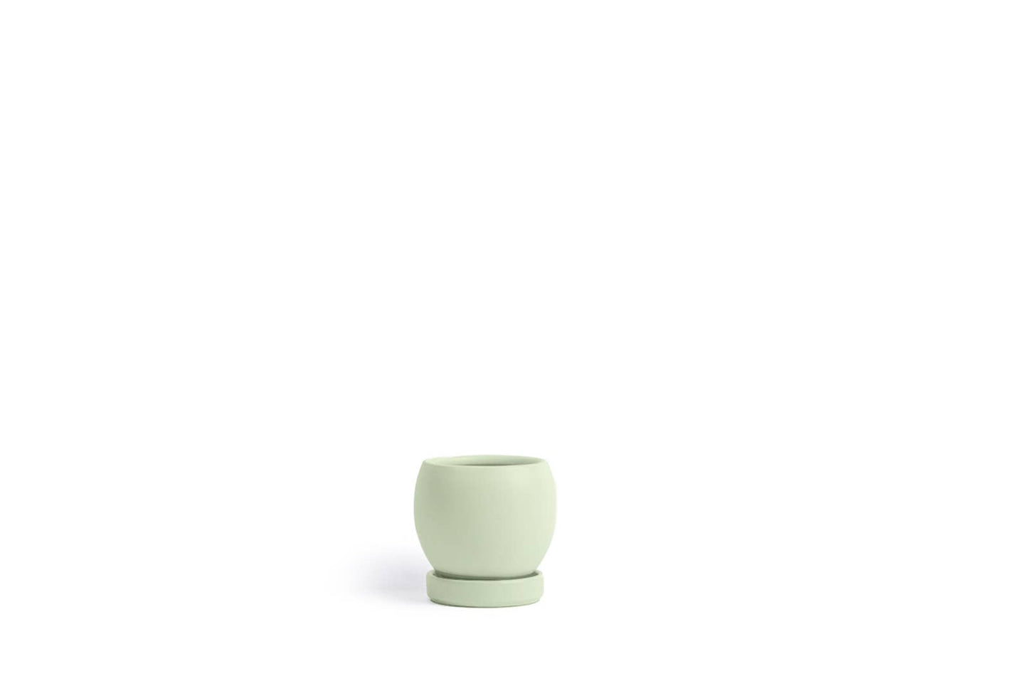 4.25" Bollé Pots w/Water Saucers - 8pc/cspk