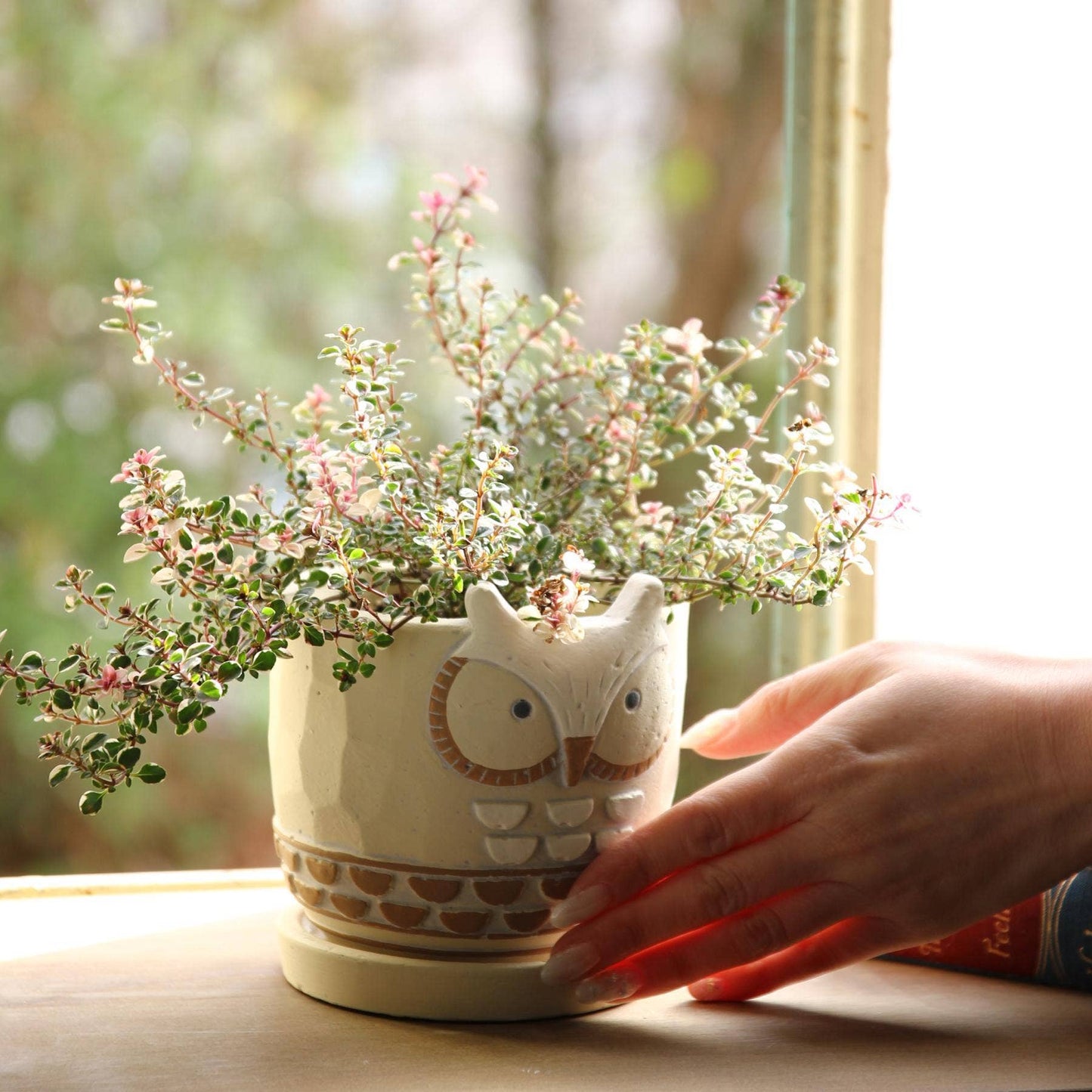 Owl Cement Planter w/ tray