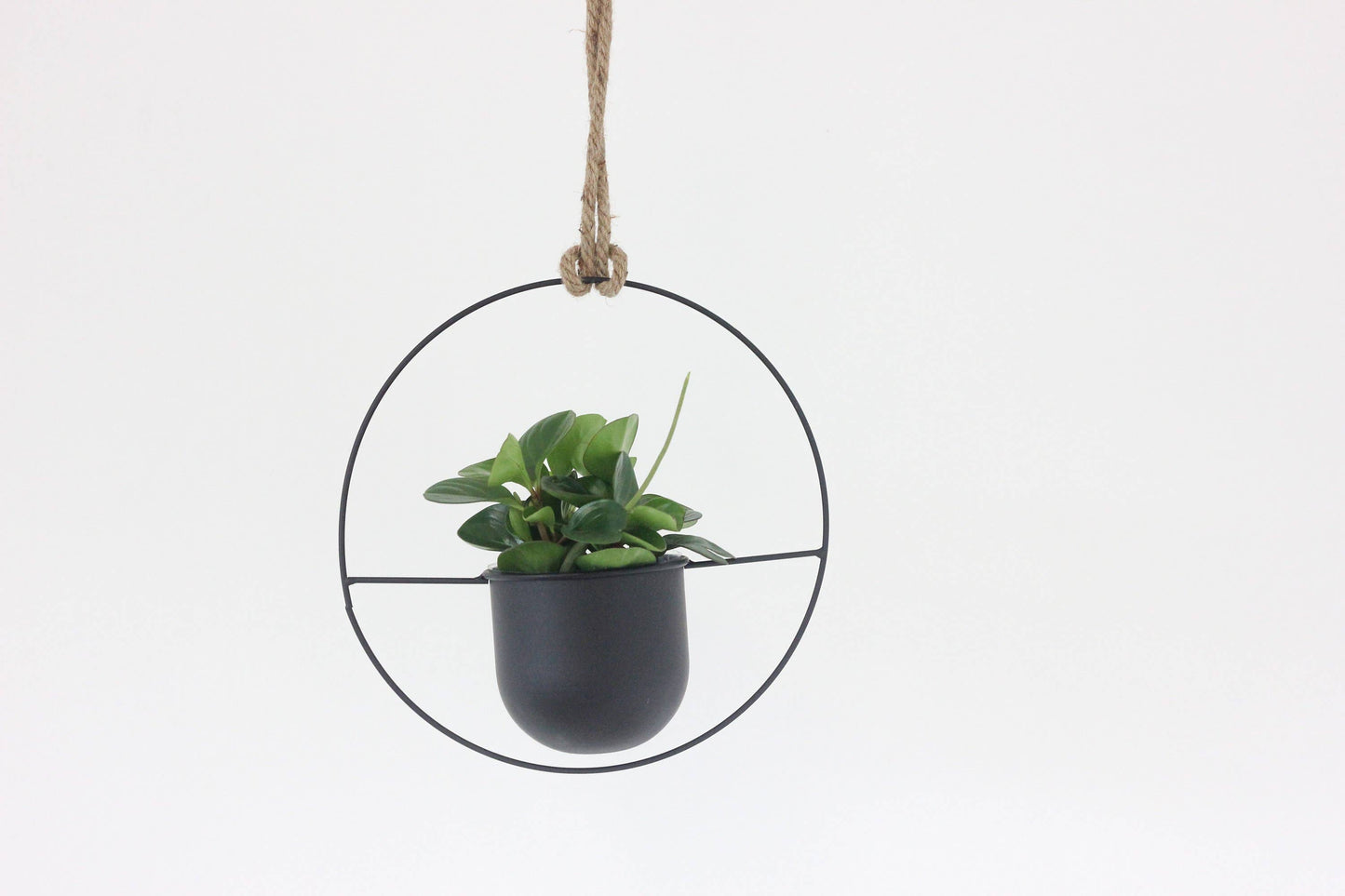 Black Metal Circular Hanging Planter