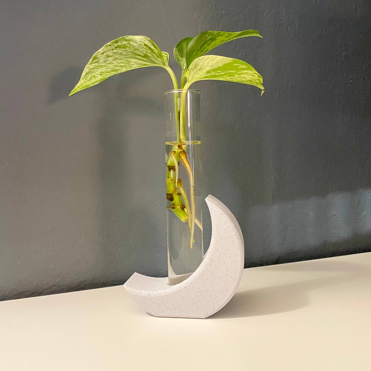 3D Printed Moon Propagation Station, Propagation Stand