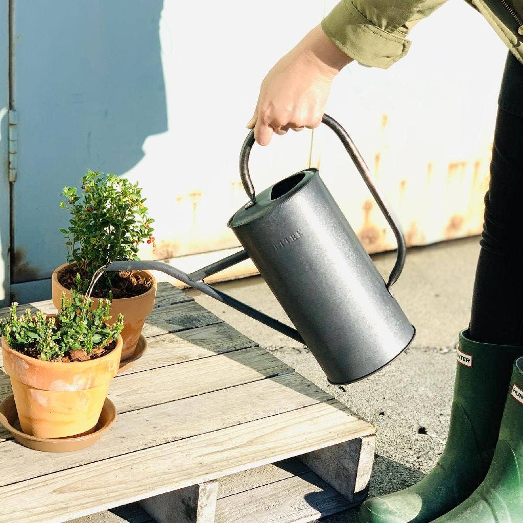 2.5L Tin Watering Can Black