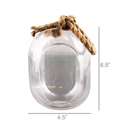 Sole Hanging Terrarium, Glass - Wide