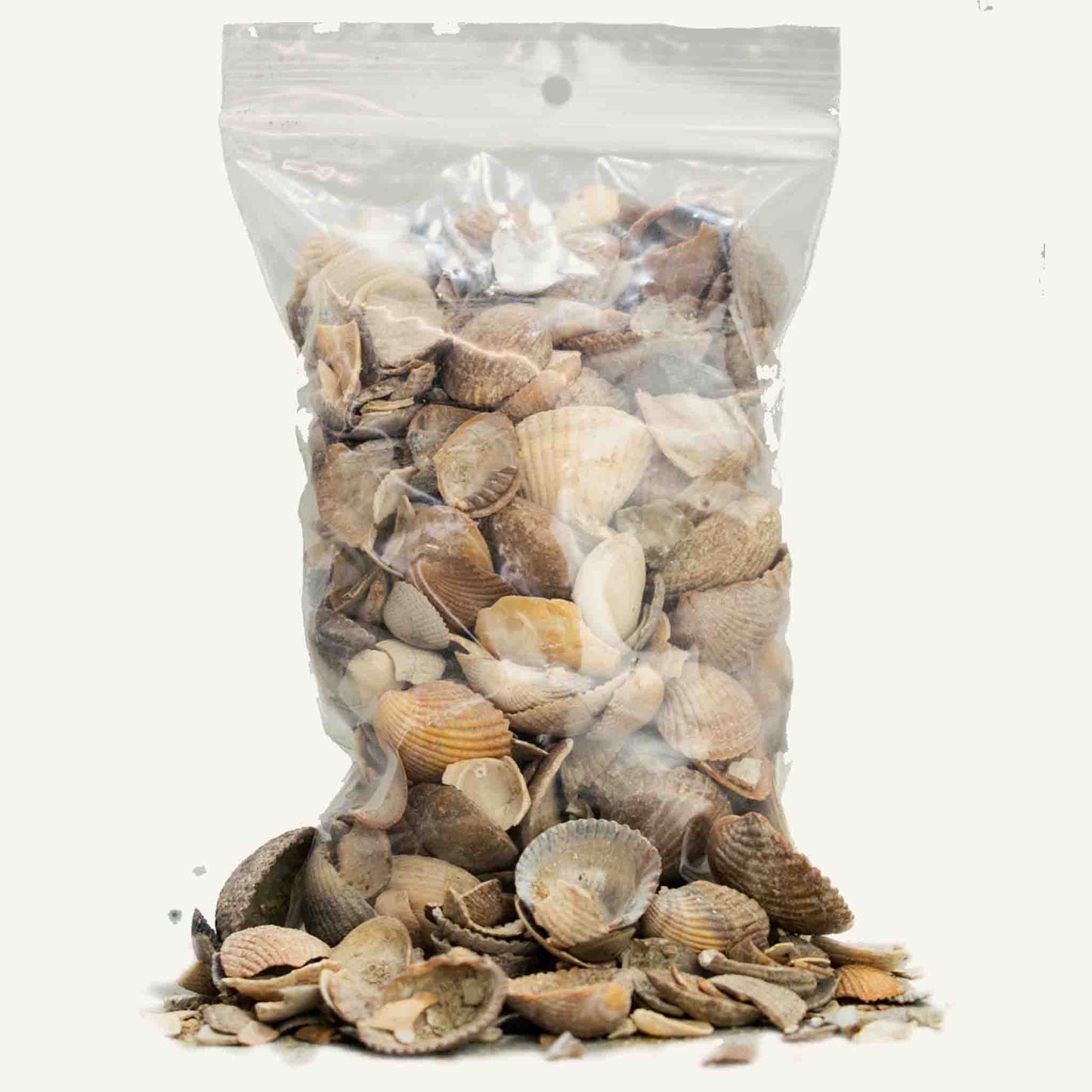 Broken Sea Shells | 350ml