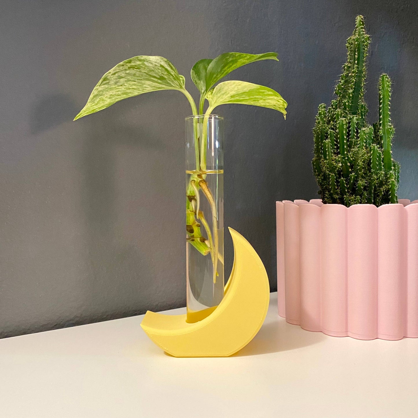 3D Printed Moon Propagation Station, Propagation Stand