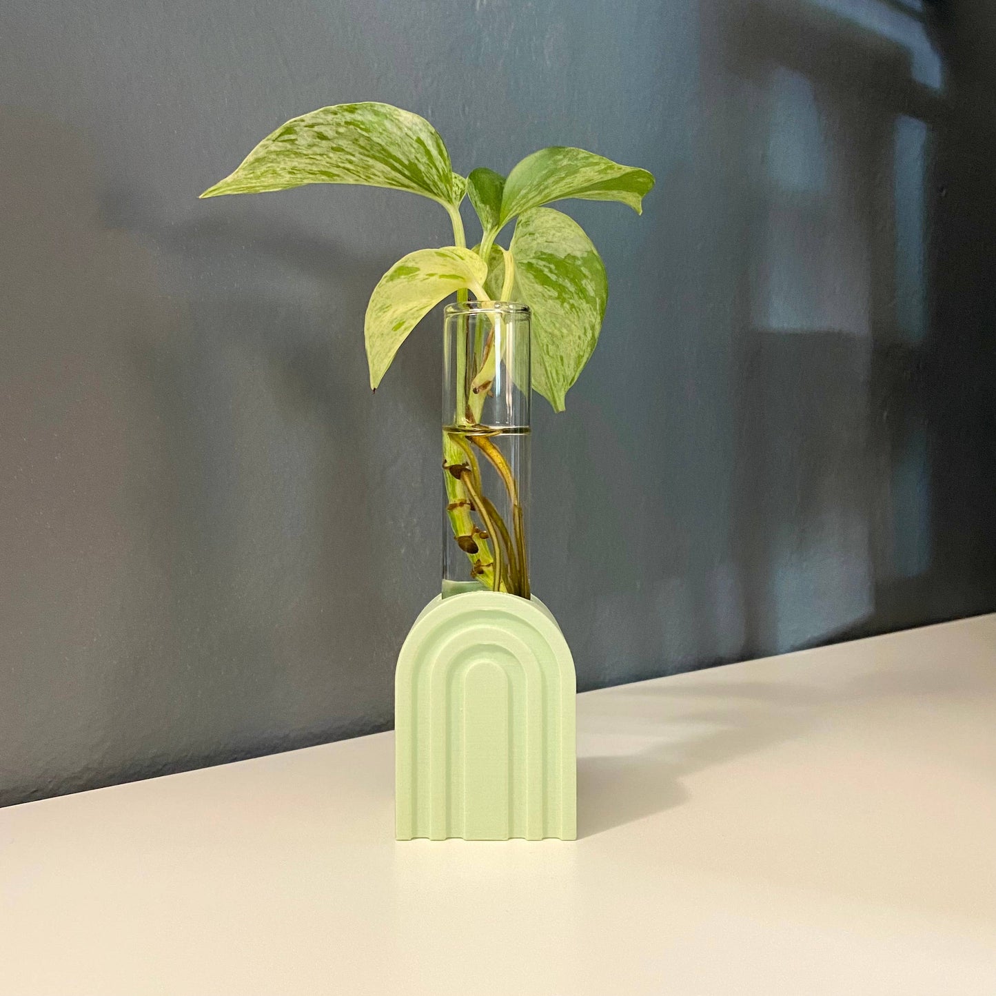 Archie Propagation Stand, 3D Printed Propagation Station