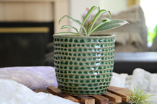 Honeycomb planter, emerald, 5.5"X5"