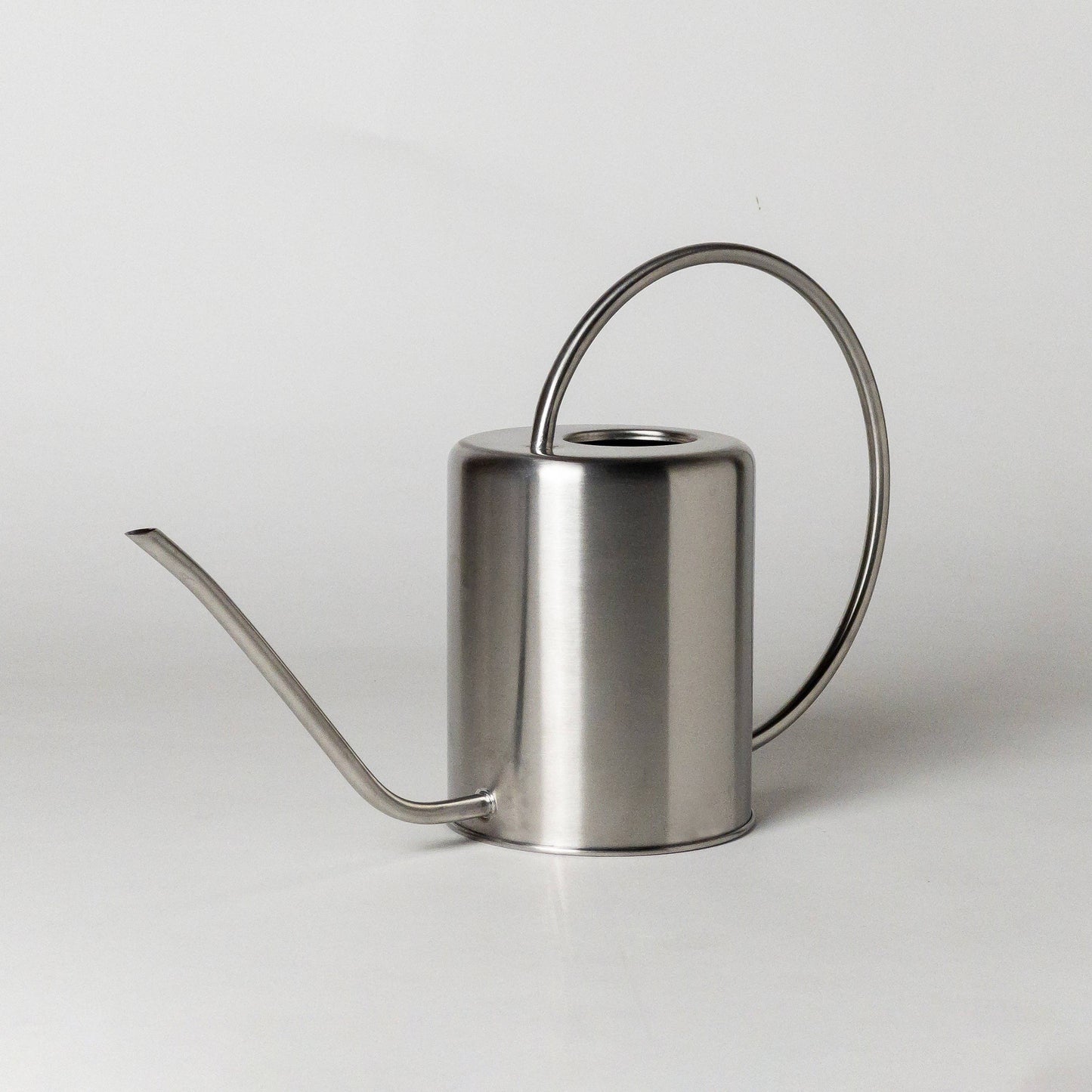 2L Stainless Steel Watering Can: Silver