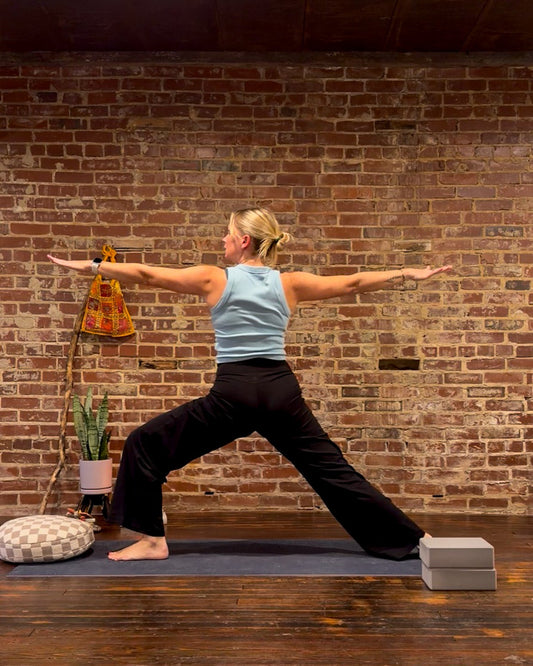 1/30 Friday Vinyasa Yoga