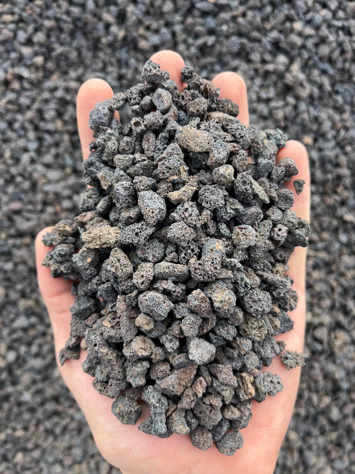 BULK 5 Gallons 3/8" Black Lava Rock- for Bonsai and Cactus
