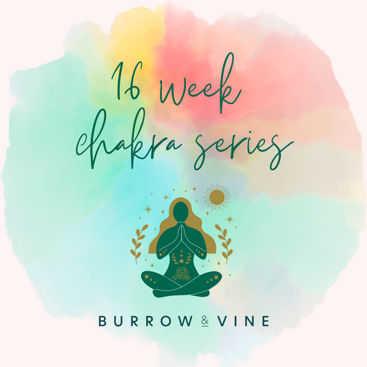 16 Week Yoga Chakra Series Bundle