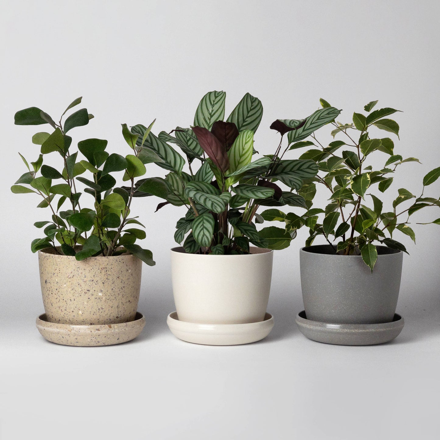 Three Set | Mini Planters Harmony Set: Coffee