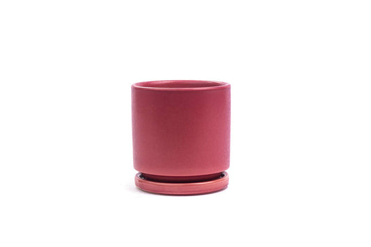 6.25" Gemstone Cylinder Pots with Water Tray