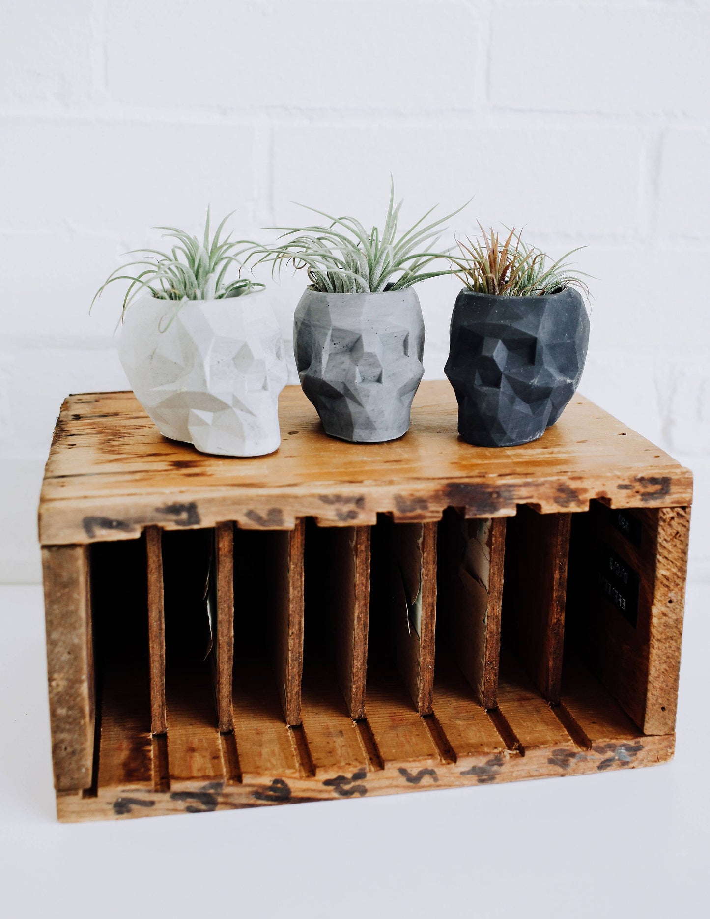 Concrete Geometric Skull Planter