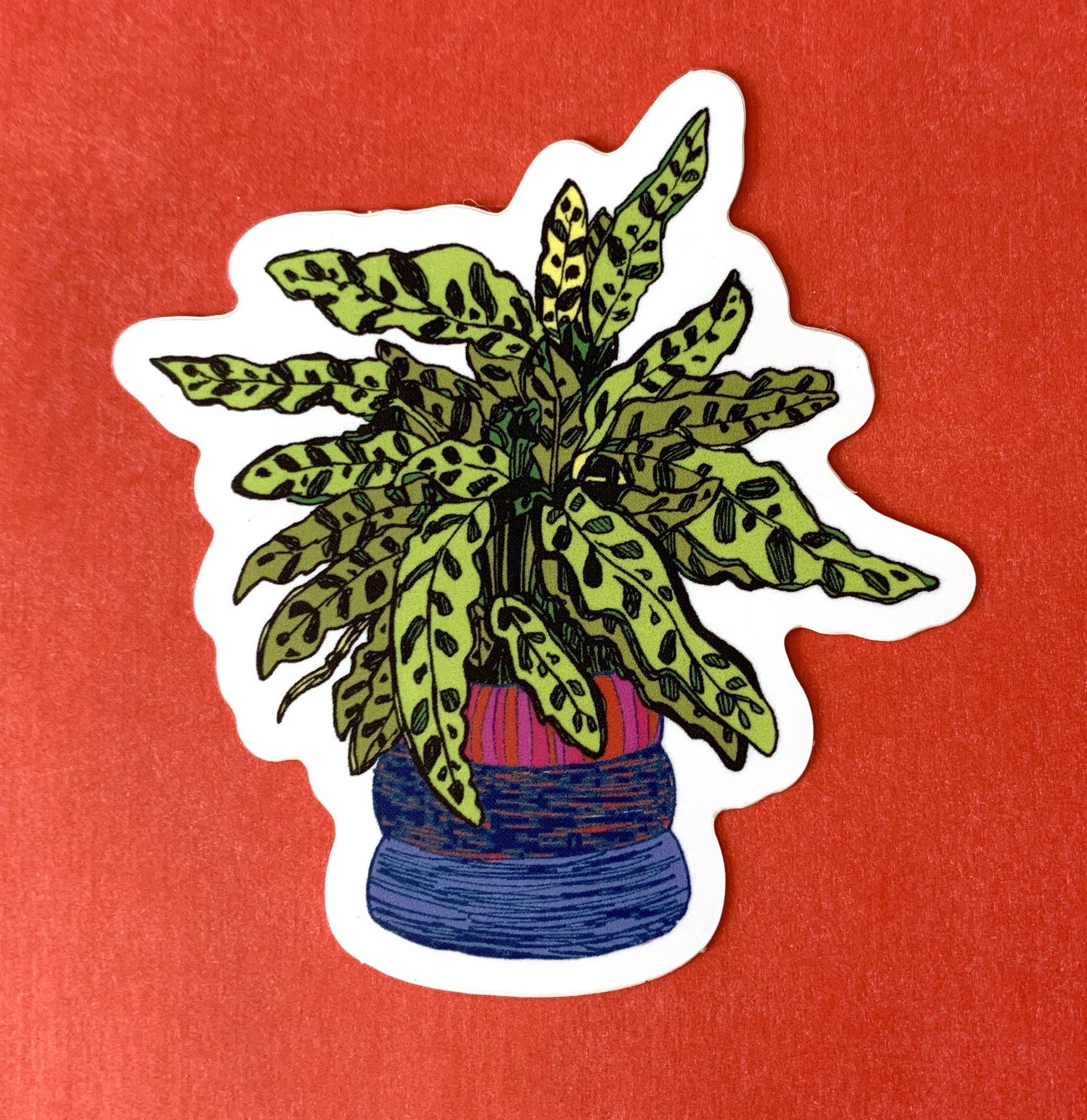 Rattlesnake Plant Sticker -Weatherproof