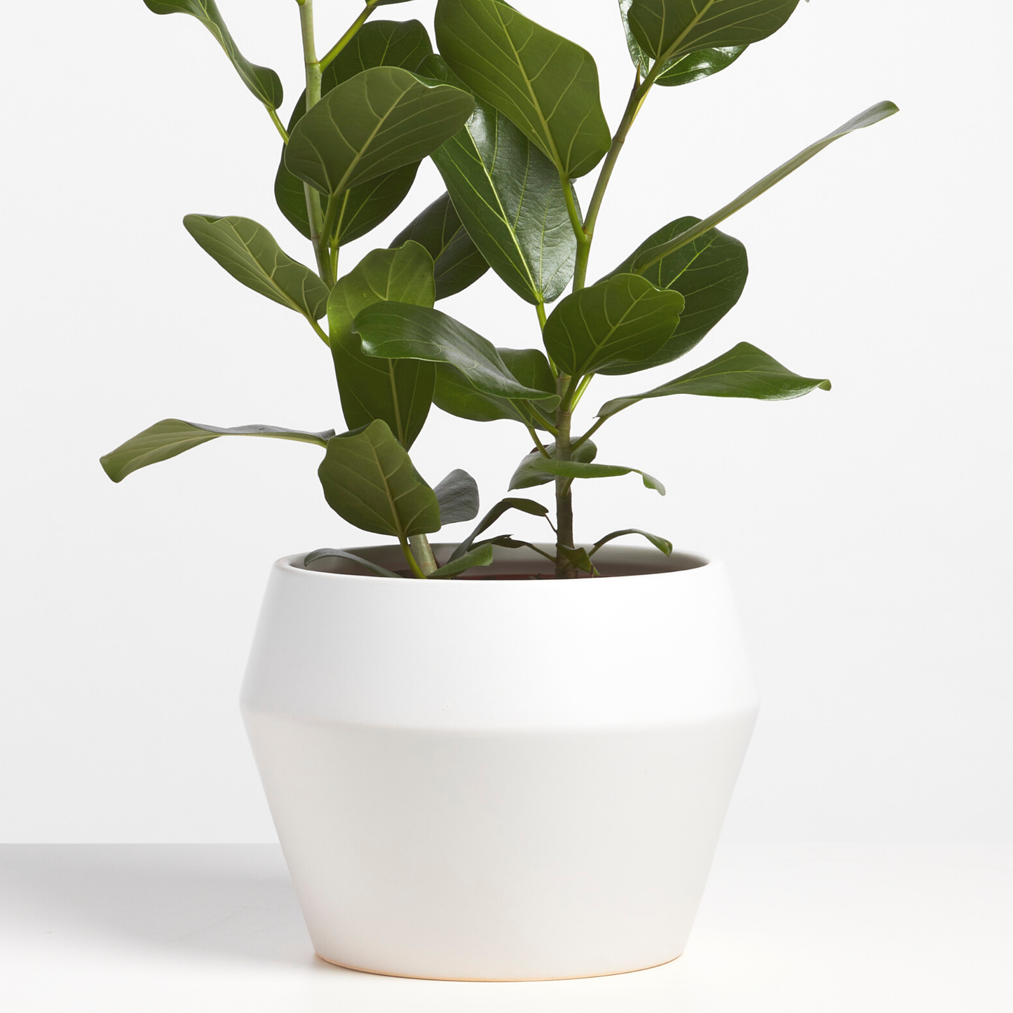 Modern Classic Planter, Ceramic 8"