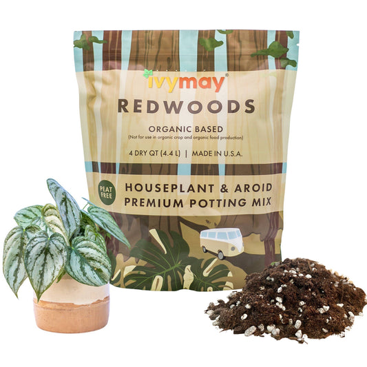 Houseplant & Aroid Mix 4 Qt