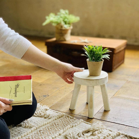 Carving Mini Display Stool White